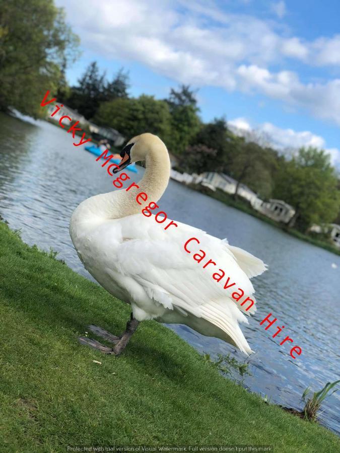 Hotel Haggerston Castle Tower Lawn Hire Berwick Upon Tweed Zewnętrze zdjęcie